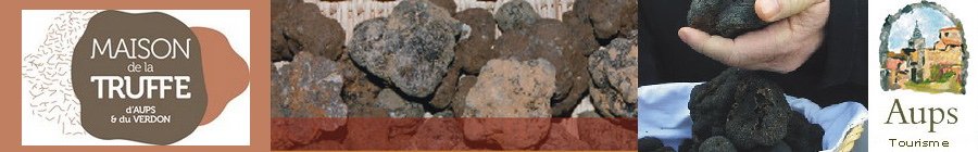 March&eacute; aux truffes noires &agrave; Aups