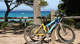 Vélos à Porquerolles