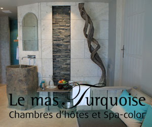 Le Mas Turquoise, chambres d'hôtes et Spa-color Le Mas Turquoise, chambres d'hôtes et Spa-color