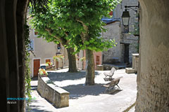 Annot, placette