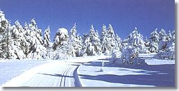 Annot, ski de fond Annot, ski de fond