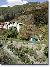 Beaujeu, maisons Beaujeu, maisons