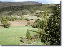 Chateauneuf-Miravail, landscape