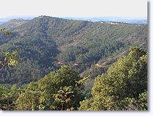 Ganagobie, paysage de collines Ganagobie, paysage de collines