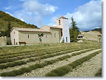 La Rochegiron, église et champ de lavande