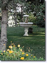 Mison, fontaine Mison, fontaine