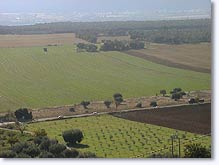 Montfort, paysage Montfort, paysage