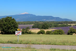 Revest du Bion, vue sur le Mont Ventoux. Photos HD