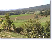 Le Revest Saint Martin, paysage