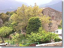 Rougon, landscape