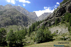 Champoléon, paysage de montagnes