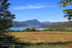 Lac de Serre Ponçon avec coquelicots