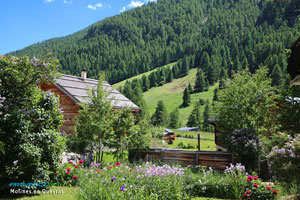 Molines en Queyras, flowered garden