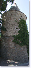 Saint Leger les Melezes, tower