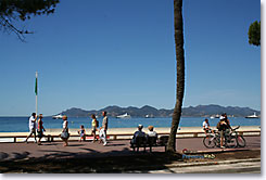 Cannes, the croisette Cannes, the croisette