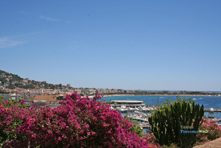 Cannes, le port