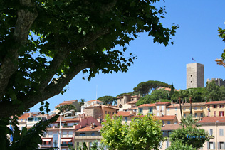 Cannes, vue sur la tour