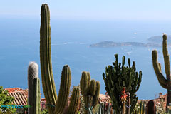 Eze, plantes exotiques Eze, plantes exotiques