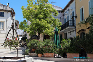 La Colle sur Loup - HQ Photographs