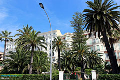 Menton, garden Menton, garden
