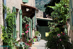 Peymeinade,tiny street with flowers