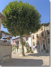 Saint Martin du Var, square