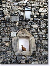 Thiery, dove