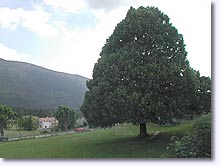 Valderoure, landscape