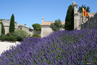 Baux de Provence, 37 Photos HD