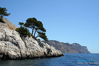 Cassis - 56 Photos HD