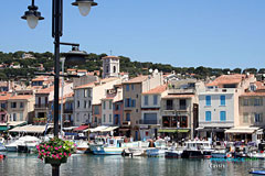 Cassis Cassis