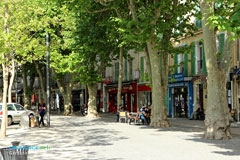 Gardanne, square and terraces