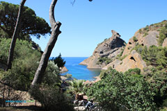 La Ciotat, calanque and small beach La Ciotat, calanque and small beach