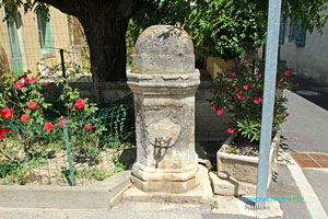 Maillane, fountain