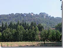 Mas Blanc des Alpilles - paysage des Alpilles