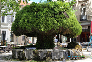 Salon de Provence, fontaine