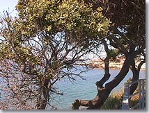 Sausset les Pins - The sea