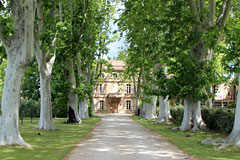 Saint Martin de Crau - Bed and breakfast