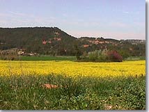 Saint Antonin sur Bayon, paysage