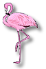 Flamant rose
