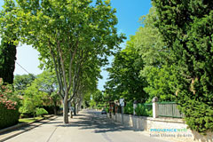 Saint Etienne du Grès, allée arborée Saint Etienne du Grès, allée arborée