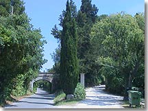 Saint Etienne du Gres landscape