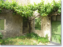 Montfroc, maison