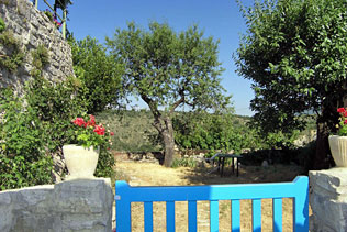 Rochebrune, 12 Photographs