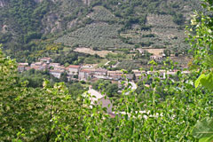 Sahune, le village et ses oliviers