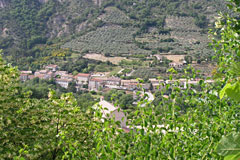 Sahune, le village et ses oliviers Sahune, le village et ses oliviers