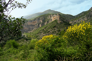 Saint May, 15 Photographs