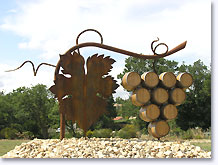 Saint Pantaléon les Vignes, grappe de raisin
