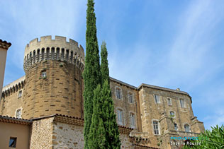 Suze la Rousse, castle and 12 HQ Photographs
