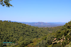 Les Adrets de l'Esterel, Esterel